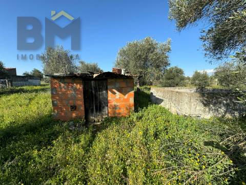 Terreno Rústico  Venda em Toulões,Idanha-a-Nova