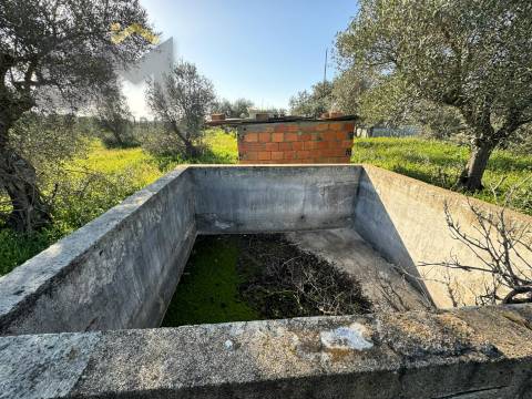Terreno Rústico  Venda em Toulões,Idanha-a-Nova