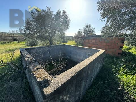 Terreno Rústico  Venda em Toulões,Idanha-a-Nova
