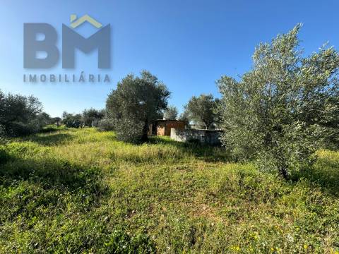 Terreno Rústico  Venda em Toulões,Idanha-a-Nova