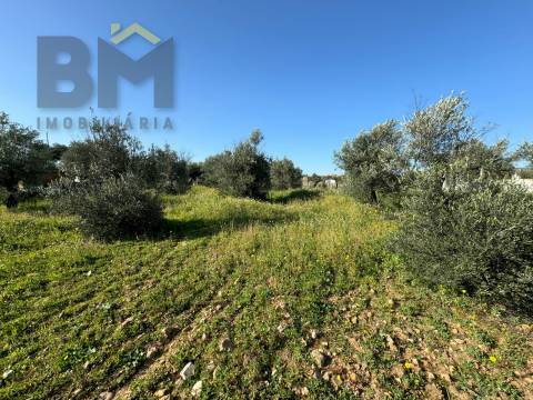 Terreno Rústico  Venda em Toulões,Idanha-a-Nova