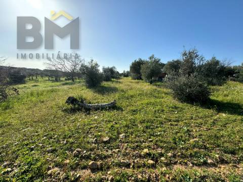 Terreno Rústico  Venda em Toulões,Idanha-a-Nova