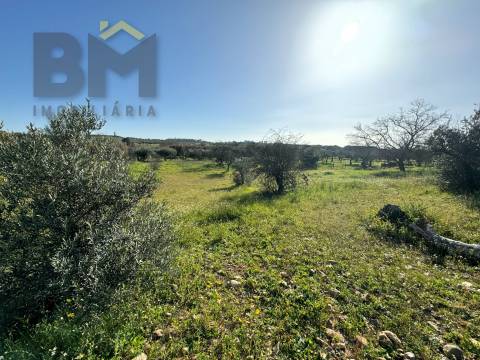 Terreno Rústico  Venda em Toulões,Idanha-a-Nova