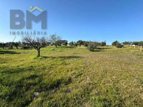 Terreno Rústico  Venda em Toulões,Idanha-a-Nova