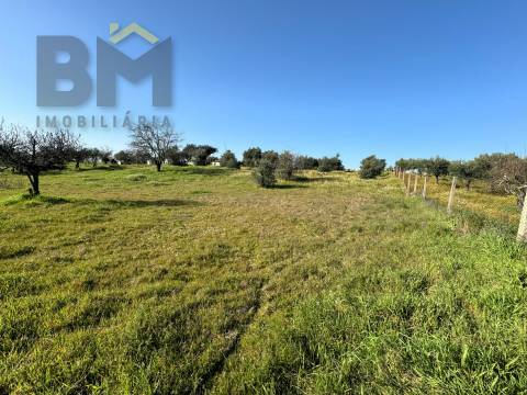 Terreno Rústico  Venda em Toulões,Idanha-a-Nova