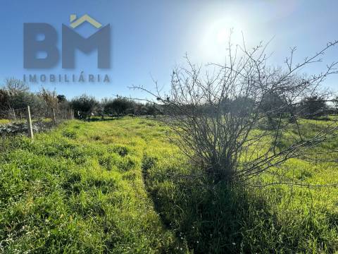 Terreno Rústico  Venda em Toulões,Idanha-a-Nova