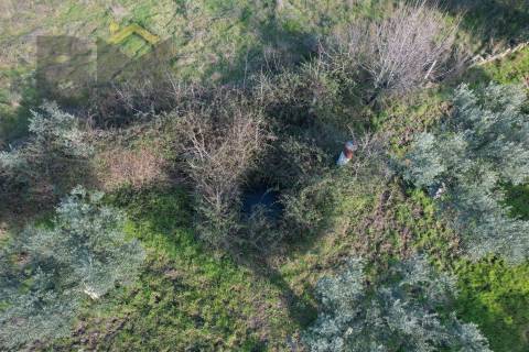 Terreno Rústico  Venda em Salgueiro do Campo,Castelo Branco