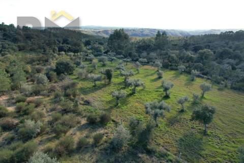 Terreno Rústico  Venda em Salgueiro do Campo,Castelo Branco