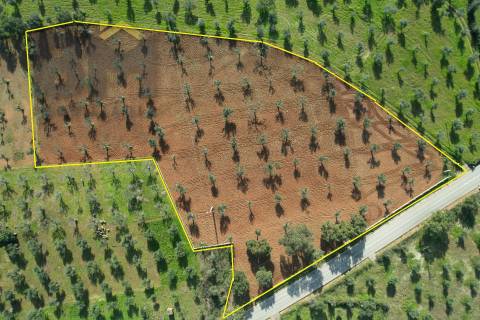 Terreno Rústico  Venda em Freixial e Juncal do Campo,Castelo Branco