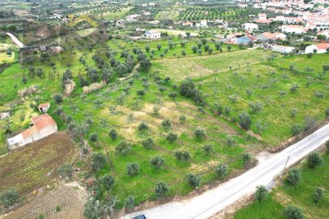 Terreno Rústico  Venda em Ladoeiro,Idanha-a-Nova