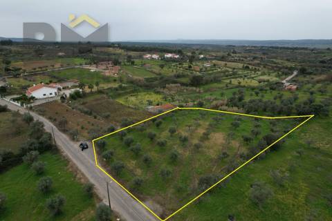 Terreno Rústico  Venda em Ladoeiro,Idanha-a-Nova