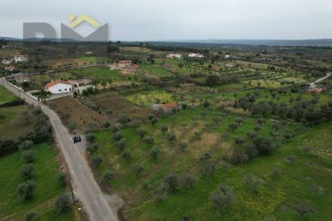 Terreno Rústico  Venda em Ladoeiro,Idanha-a-Nova