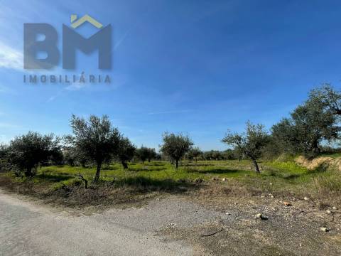 Terreno Rústico  Venda em Ladoeiro,Idanha-a-Nova