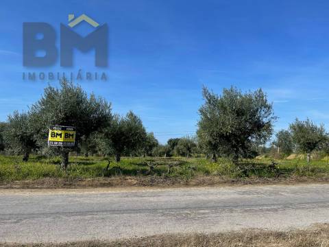 Terreno Rústico  Venda em Ladoeiro,Idanha-a-Nova