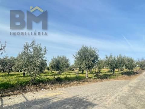 Terreno Rústico  Venda em Ladoeiro,Idanha-a-Nova