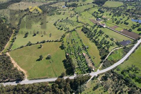 Quinta  Venda em Proença-a-Velha,Idanha-a-Nova