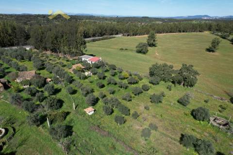 Quinta  Venda em Proença-a-Velha,Idanha-a-Nova