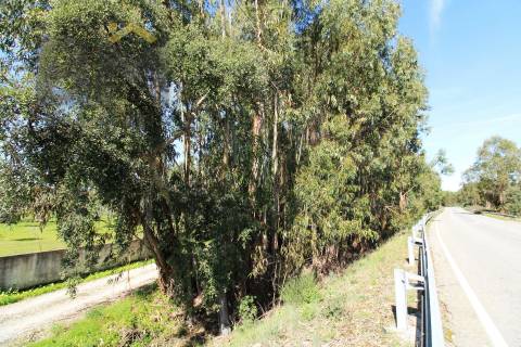 Quinta  Venda em Proença-a-Velha,Idanha-a-Nova