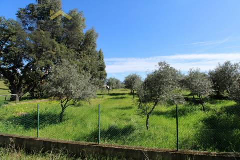 Quinta  Venda em Proença-a-Velha,Idanha-a-Nova
