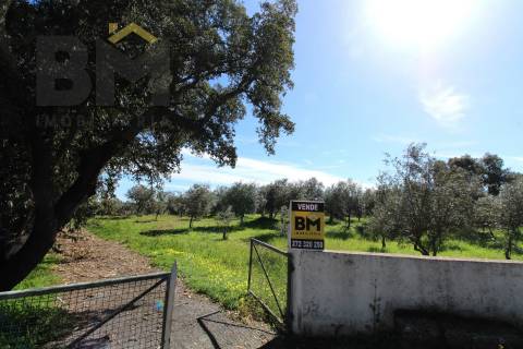 Quinta  Venda em Proença-a-Velha,Idanha-a-Nova