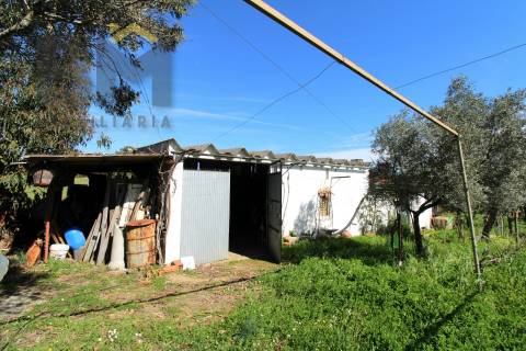 Quinta  Venda em Proença-a-Velha,Idanha-a-Nova