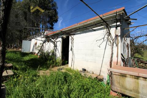 Quinta  Venda em Proença-a-Velha,Idanha-a-Nova