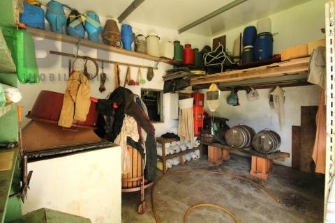 Quinta  Venda em Proença-a-Velha,Idanha-a-Nova