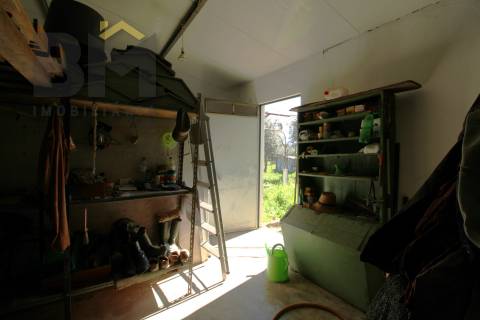 Quinta  Venda em Proença-a-Velha,Idanha-a-Nova