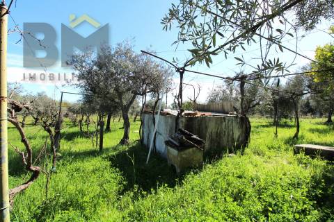 Quinta  Venda em Proença-a-Velha,Idanha-a-Nova