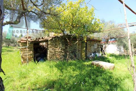 Quinta  Venda em Proença-a-Velha,Idanha-a-Nova