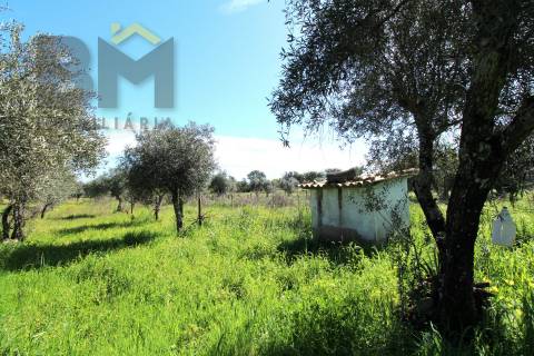 Quinta  Venda em Proença-a-Velha,Idanha-a-Nova