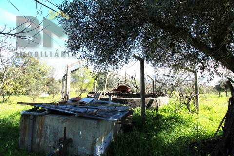 Quinta  Venda em Proença-a-Velha,Idanha-a-Nova