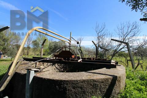 Quinta  Venda em Proença-a-Velha,Idanha-a-Nova