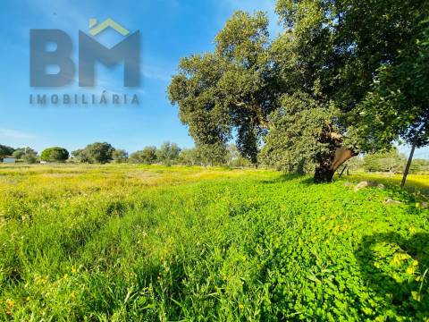 Moradia T0 Venda em Zebreira e Segura,Idanha-a-Nova