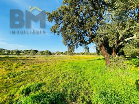 Moradia T0 Venda em Zebreira e Segura,Idanha-a-Nova