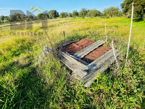 Moradia T0 Venda em Zebreira e Segura,Idanha-a-Nova