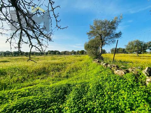Moradia T0 Venda em Zebreira e Segura,Idanha-a-Nova