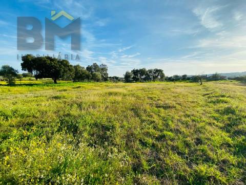 Moradia T0 Venda em Zebreira e Segura,Idanha-a-Nova