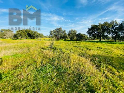 Moradia T0 Venda em Zebreira e Segura,Idanha-a-Nova