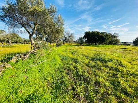 Moradia T0 Venda em Zebreira e Segura,Idanha-a-Nova