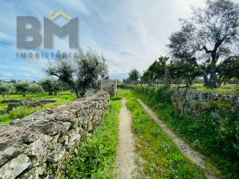 Quintinha  Venda em Póvoa de Rio de Moinhos e Cafede,Castelo Branco
