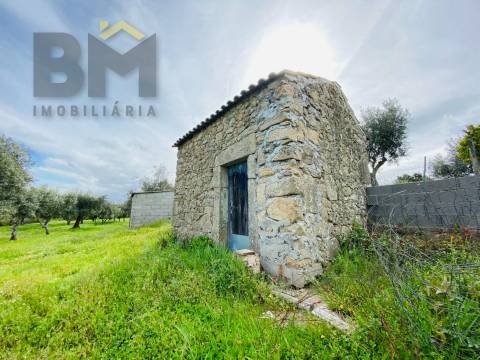 Quintinha  Venda em Póvoa de Rio de Moinhos e Cafede,Castelo Branco