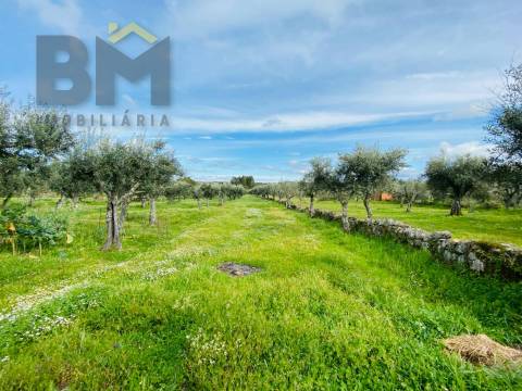 Quintinha  Venda em Póvoa de Rio de Moinhos e Cafede,Castelo Branco