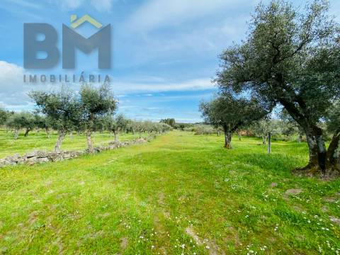 Quintinha  Venda em Póvoa de Rio de Moinhos e Cafede,Castelo Branco