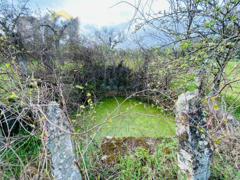 Quintinha  Venda em Póvoa de Rio de Moinhos e Cafede,Castelo Branco