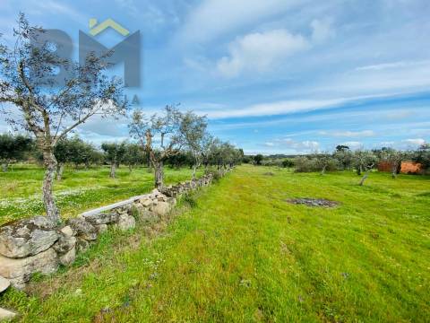 Quintinha  Venda em Póvoa de Rio de Moinhos e Cafede,Castelo Branco