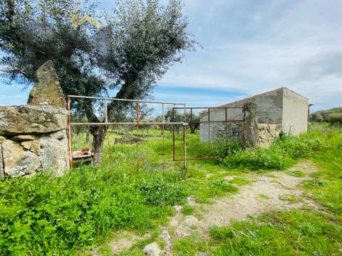 Quintinha  Venda em Póvoa de Rio de Moinhos e Cafede,Castelo Branco