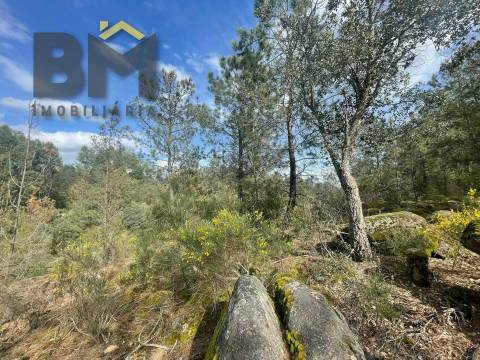 Terreno Rústico  Venda em Tinalhas,Castelo Branco