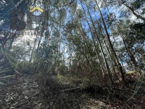 Terreno Rústico  Venda em Tinalhas,Castelo Branco