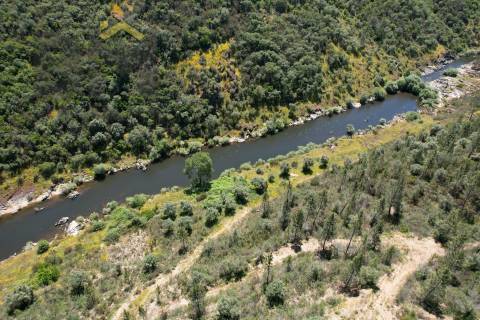 Terreno Rústico  Venda em Sarzedas,Castelo Branco